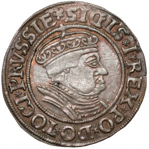 Zygmunt I Stary, Grosz Toruń 1535 - b.ładny