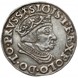 Zygmunt I Stary, Trojak Gdańsk 1538 - bez krzyża