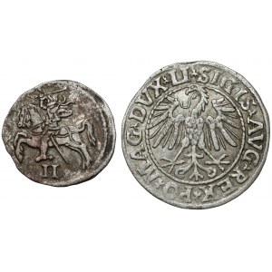 Zygmunt II August, Półgrosz Wilno 1547 i Dwudenar 1570, zestaw (2szt)