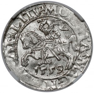 Zygmunt II August, Półgrosz Wilno 1559 - LITV - menniczy