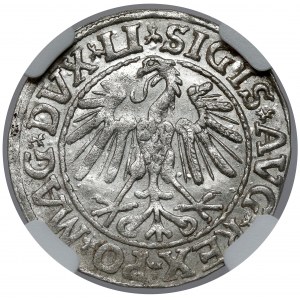 Zygmunt II August, Półgrosz Wilno 1547 - menniczy