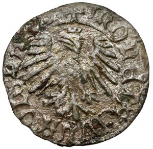 Hungary, Vladislaus III, Denarius