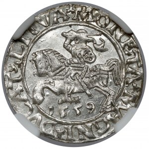 Zygmunt II August, Półgrosz Wilno 1559 - piękny