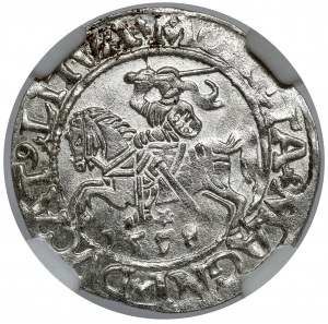 Zygmunt II August, Półgrosz Wilno 1558 - menniczy
