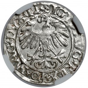 Zygmunt II August, Półgrosz Wilno 1558 - menniczy