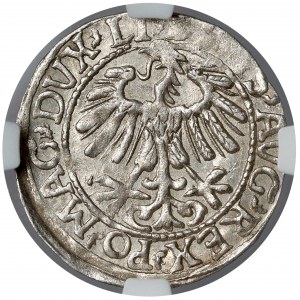 Zygmunt II August, Półgrosz Wilno 1557 - LITV - menniczy