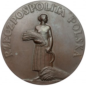 Medal, Za Pracę i Zasługę 1926 - III. klasa (brąz)