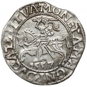 Zygmunt II August, Półgrosz Wilno 1557 - LI / LITVA