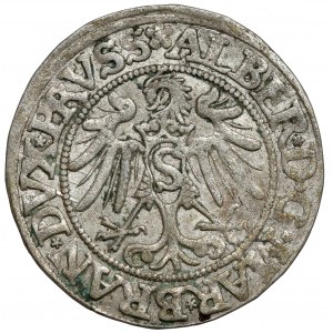 Prusy, Albrecht Hohenzollern, Grosz Królewiec 1534 - PRVSS