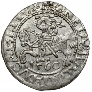 Zygmunt II August, Półgrosz Wilno 1560