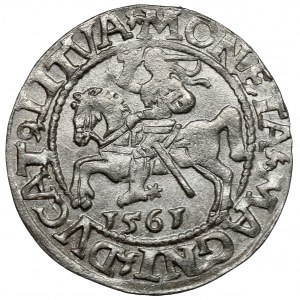 Zygmunt II August, Półgrosz Wilno 1561 - LITVA