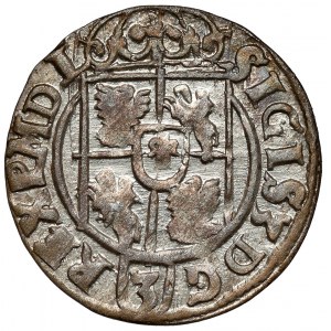 Zygmunt III Waza, Półtorak Bydgoszcz 1622 - w owalnej