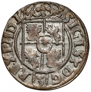Zygmunt III Waza, Półtorak Bydgoszcz 1622 - w owalnej