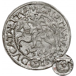 Zygmunt II August, Półgrosz Tykocin 1566 - MAŁY Jastrzębiec - b. rzadki