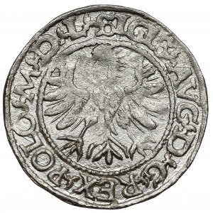 Zygmunt II August, Półgrosz Tykocin 1566 - MAŁY Jastrzębiec - b. rzadki