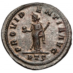 Probus (276-282 AD) Antoninian, Rome - AEQVITI series