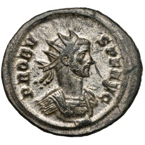 Probus (276-282 AD) Antoninian, Rome - AEQVITI series