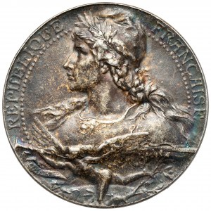 France, Medal 1898 - Concours de Gymnastique 1898