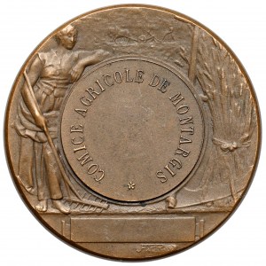 France, Medal - Comice Agricole de Montargis