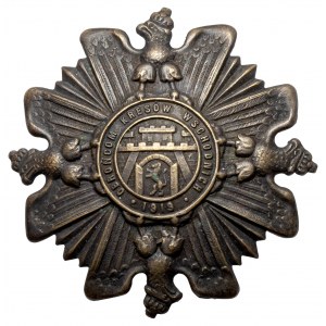 Odznaka, ORLĘTA Obrońcom Kresów 1919 (nr 41024)