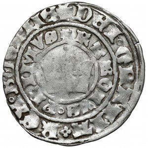 Czechy, Karol IV Luksemburski (1346-1378), Grosz praski