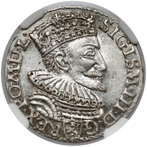 Sigismund III. Vasa, Trojak Malbork 1594