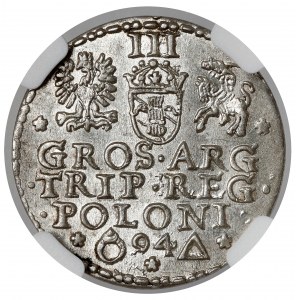 Sigismund III. Vasa, Trojak Malbork 1594