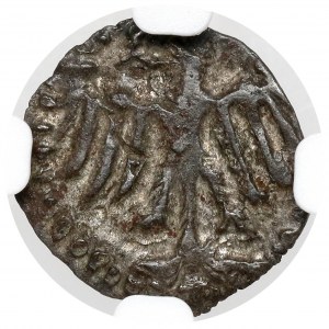 Ladislaus III Varna, Denarius of Cracow