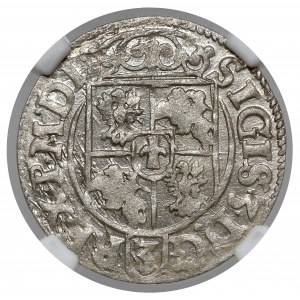 Sigismund III Vasa, Half-track Bydgoszcz 1620 - date Z-0