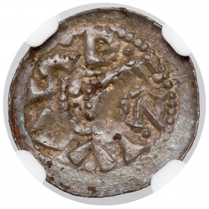 Boleslaw II the Bold, Denarius with rider - cross and flower