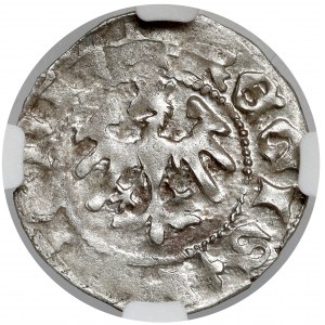 Ladislaus II Jagiello, Cracow half-penny - type 17 - F‡ marks.