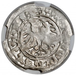 Alexander Jagiellonian, Vilnius-Gothic half-penny