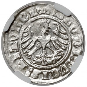 Sigismund I. der Alte, Halber Pfennig Vilnius 1511