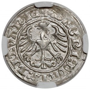 Sigismund I. der Alte, Halber Pfennig Vilnius 1511