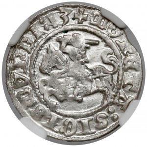 Sigismund I. der Alte, Halber Pfennig Vilnius 1513