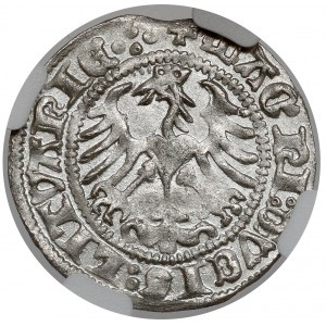 Sigismund I. der Alte, Halber Pfennig Vilnius 1513