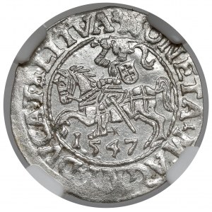 Sigismund II. Augustus, halber Pfennig Vilnius 1547