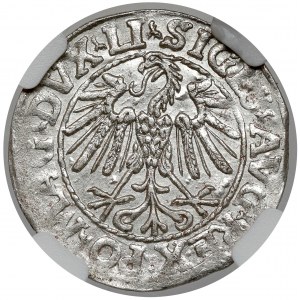 Sigismund II Augustus, Half-penny Vilnius 1547