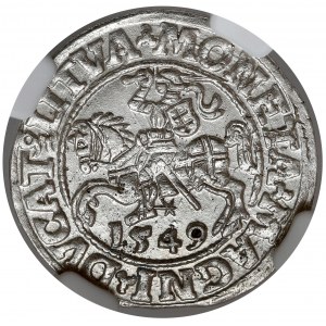 Sigismund II Augustus, halber Pfennig Vilnius 1549 - schön