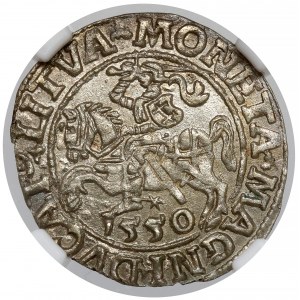 Sigismund II Augustus, halber Pfennig Vilnius 1550 - schön