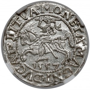 Sigismund II Augustus, halber Pfennig Vilnius 1557 - schön