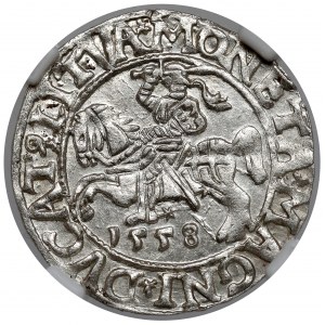 Sigismund II Augustus, Half-grosz Vilnius 1558