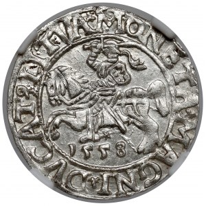 Sigismund II. Augustus, halber Pfennig Vilnius 1558