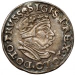 Sigismund I. der Alte, Trojak Danzig 1546