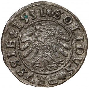 Sigismund I. der Alte, Szeląg Toruń 1531 - ex. POTOCKI