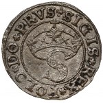 Zygmunt I Stary, Szeląg Toruń 1531 - ex. POTOCKI