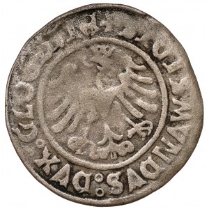 Sigismund I. der Alte, Grosz Głogów 1506