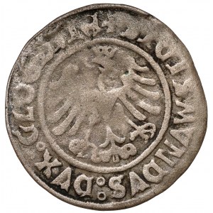 Sigismund I the Old, Glogow penny 1506