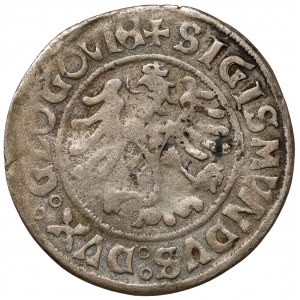 Sigismund I the Old, Glogow penny without date - rare