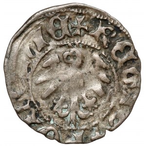 Ladislaus II Jagiello, Cracow half-penny - type 17 - F‡ marks.